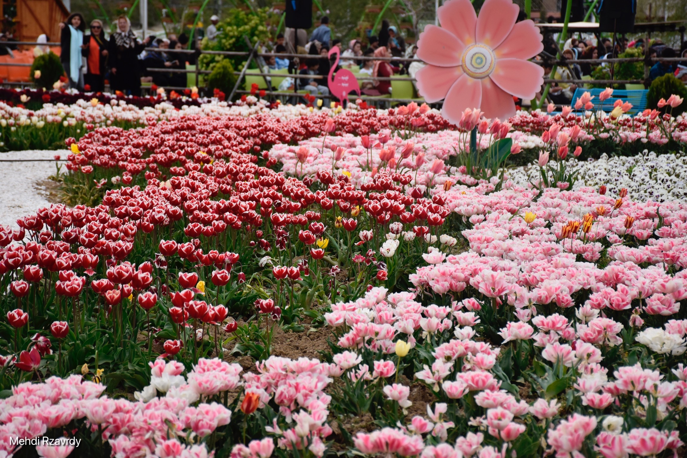 نهمین جشنواره گل ها در ارومیه
